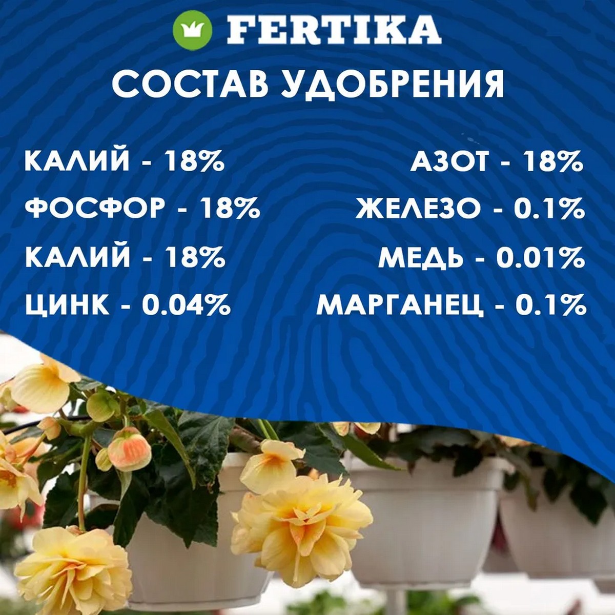 Водорастворимое удобрение FERTIKA Leaf Power для петуний и балконных цветов 500 г - фото 4