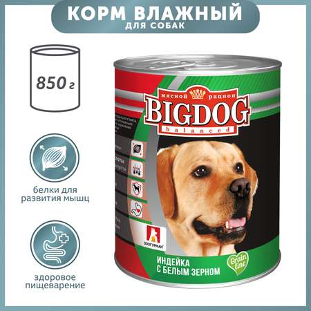 Корм для собак Big Dog 850г индейка с белым зерном ж/б