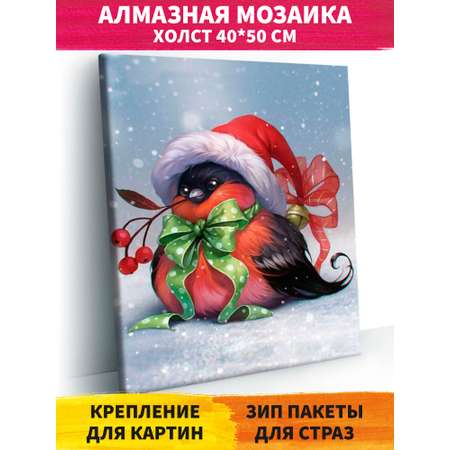 Алмазная мозаика Art on Canvas Снегирь в ассортименте