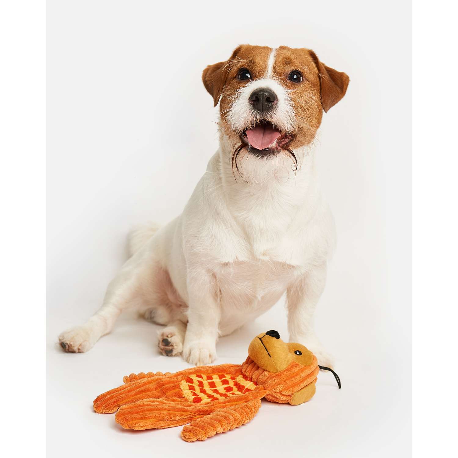 Игрушка для собак Zoozavr Обезьяна Оранжевая YT79700 - фото 1