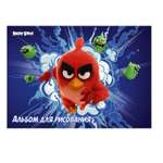 Альбом Академия Холдинг 40 л ANGRY BIRDS