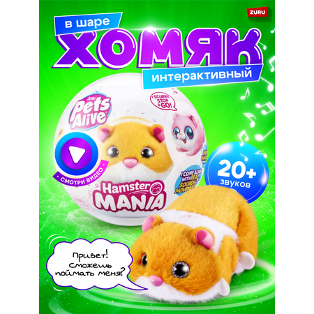 Игрушка Zuru Pets Alive Хомяк оранжевый в шаре Hamstermania