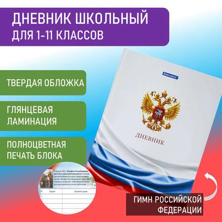 Дневник школьный Brauberg для 1-11 классов для мальчика 40 листов