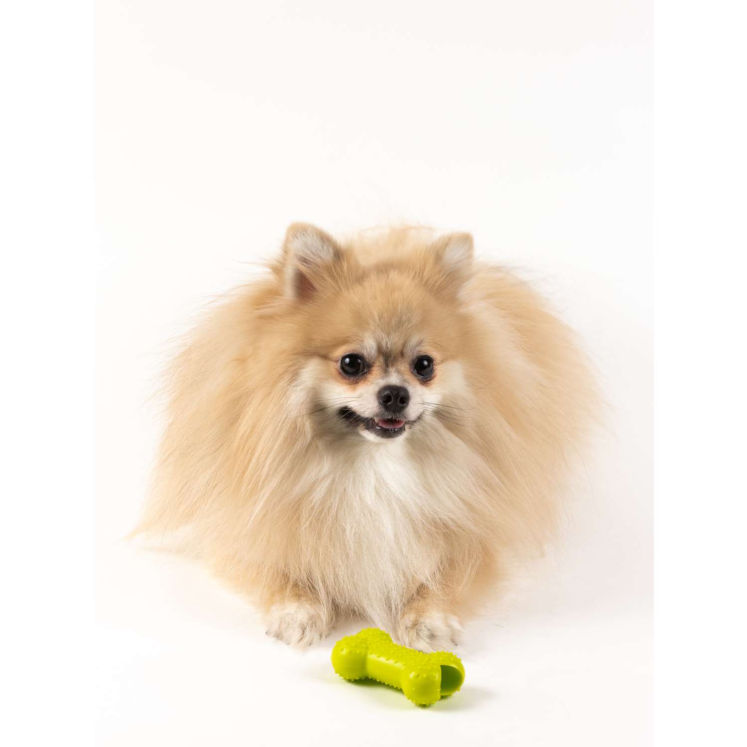 Игрушки для собак Color Si набор 5 шт зеленый - фото 2