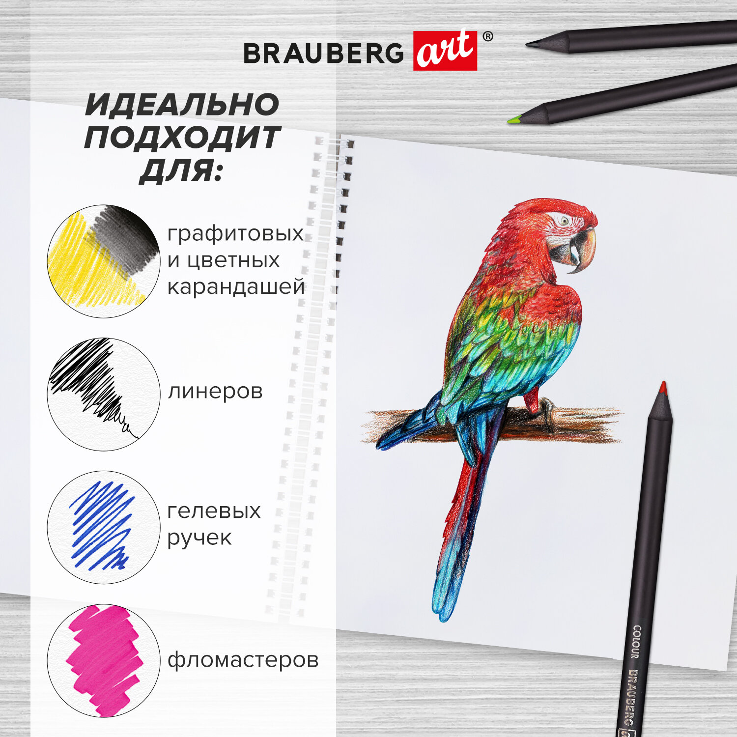 Скетчбук Brauberg для рисования 19x19 см на спирали - фото 4