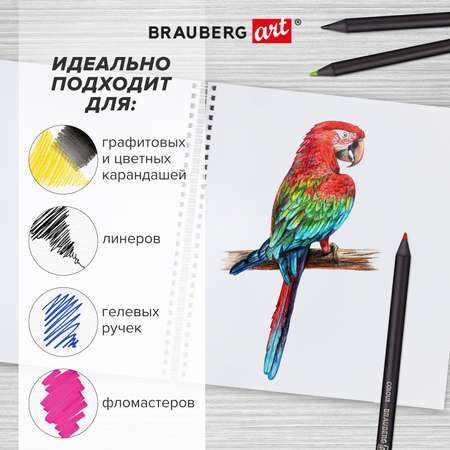 Скетчбук Brauberg для рисования 19x19 см на спирали