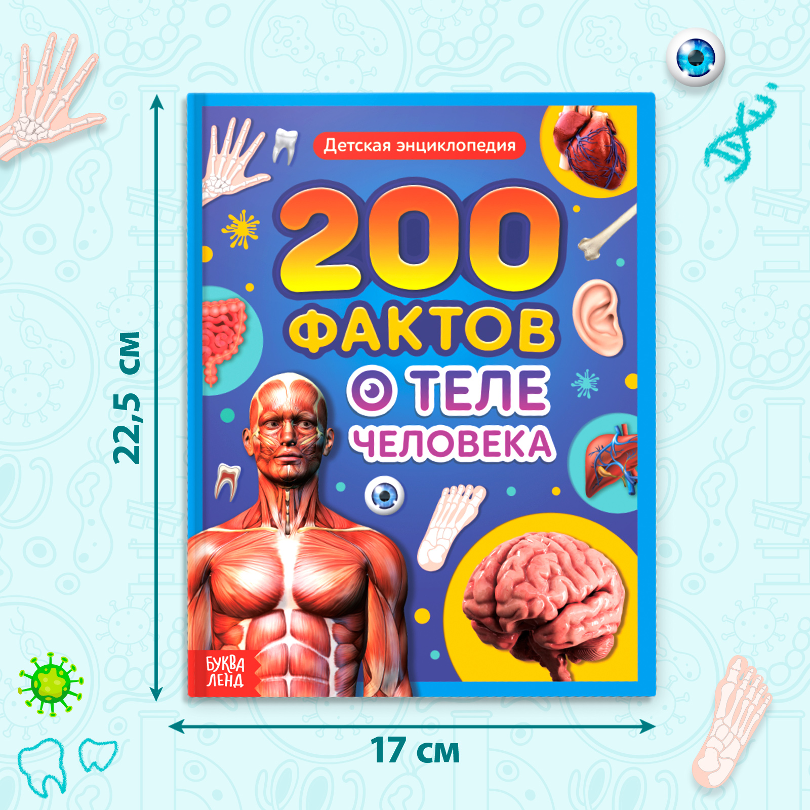 Энциклопедия Буква-ленд «200 фактов о теле человека» 48 стр. - фото 2