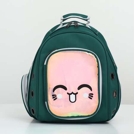 Рюкзак для переноски Пижон с окном для обзора зелёный