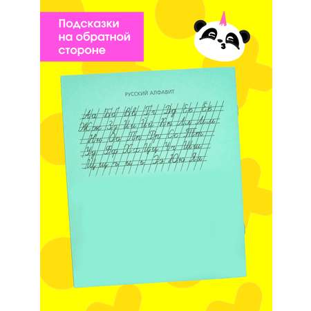 Тетрадь ПАНДАРОГ линейка 18 лист. 20 шт.