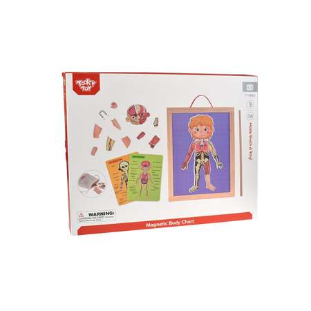 Игровой набор Tooky Toy Магнитная игра Тело человека TH842