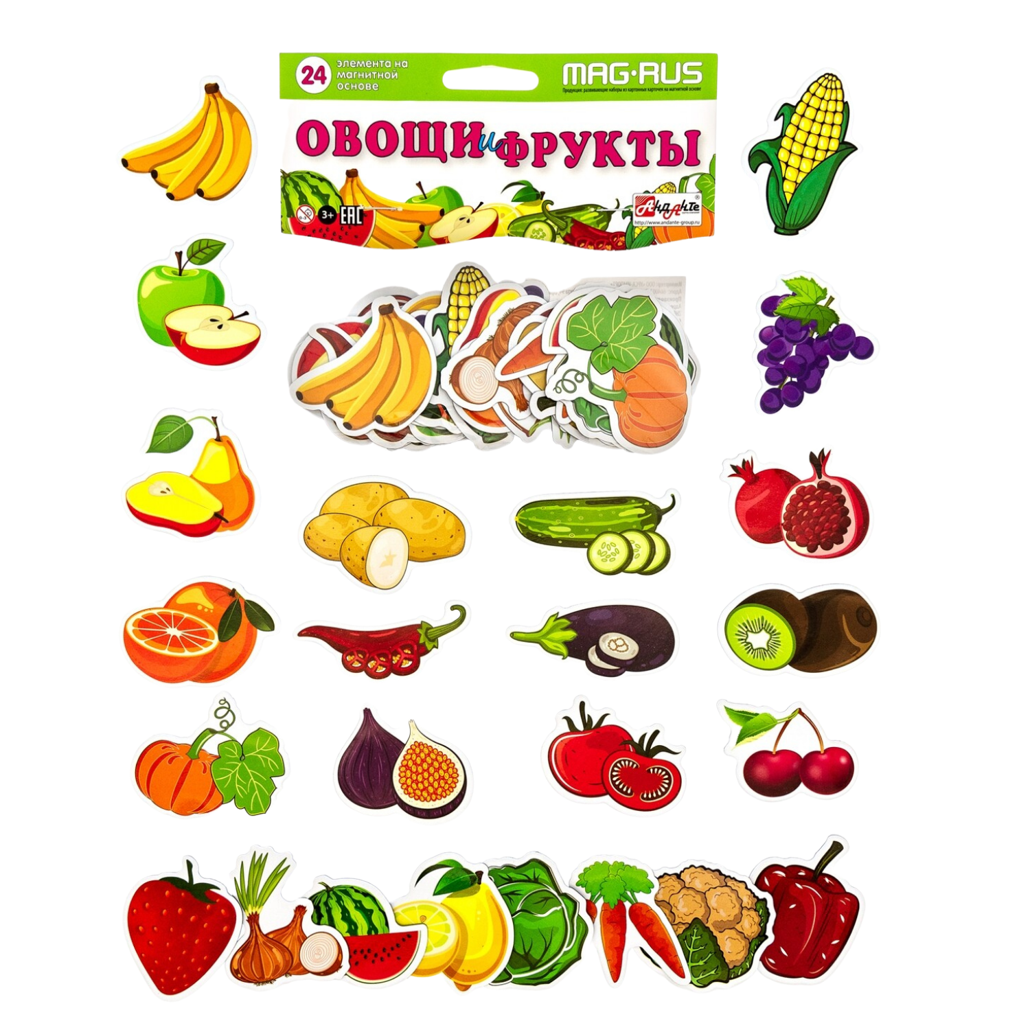 Магнитный набор Анданте Овощи и фрукты 24 элемента - фото 1