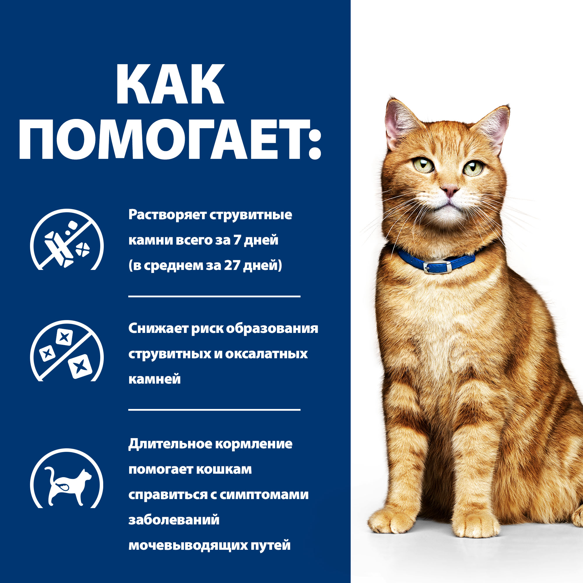 Корм для кошек HILLS 3кг Prescription Diet c/d Multicare Urinary Care при профилактике мочекаменной болезни с курицей сухой - фото 5