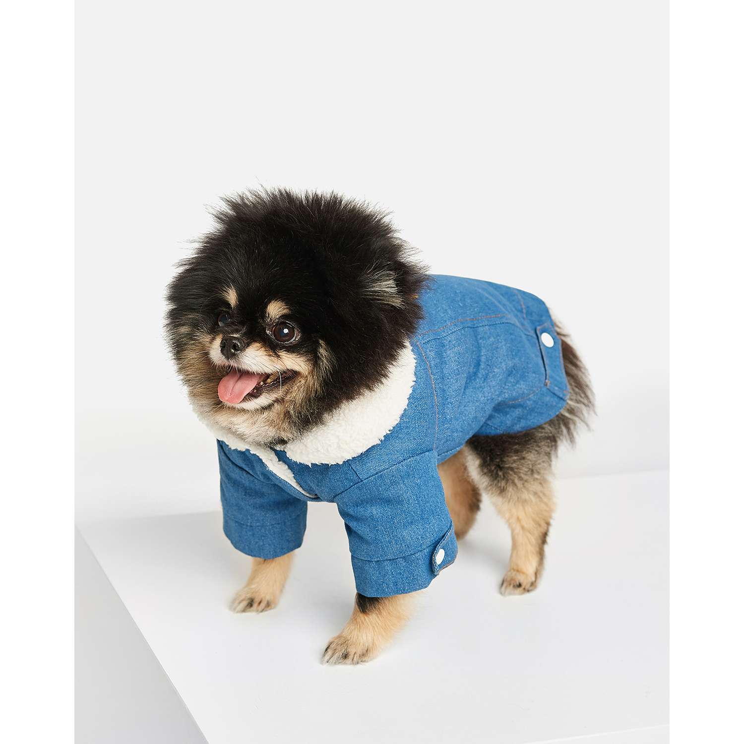 Куртка для собак Zoozavr синий 25 - фото 6