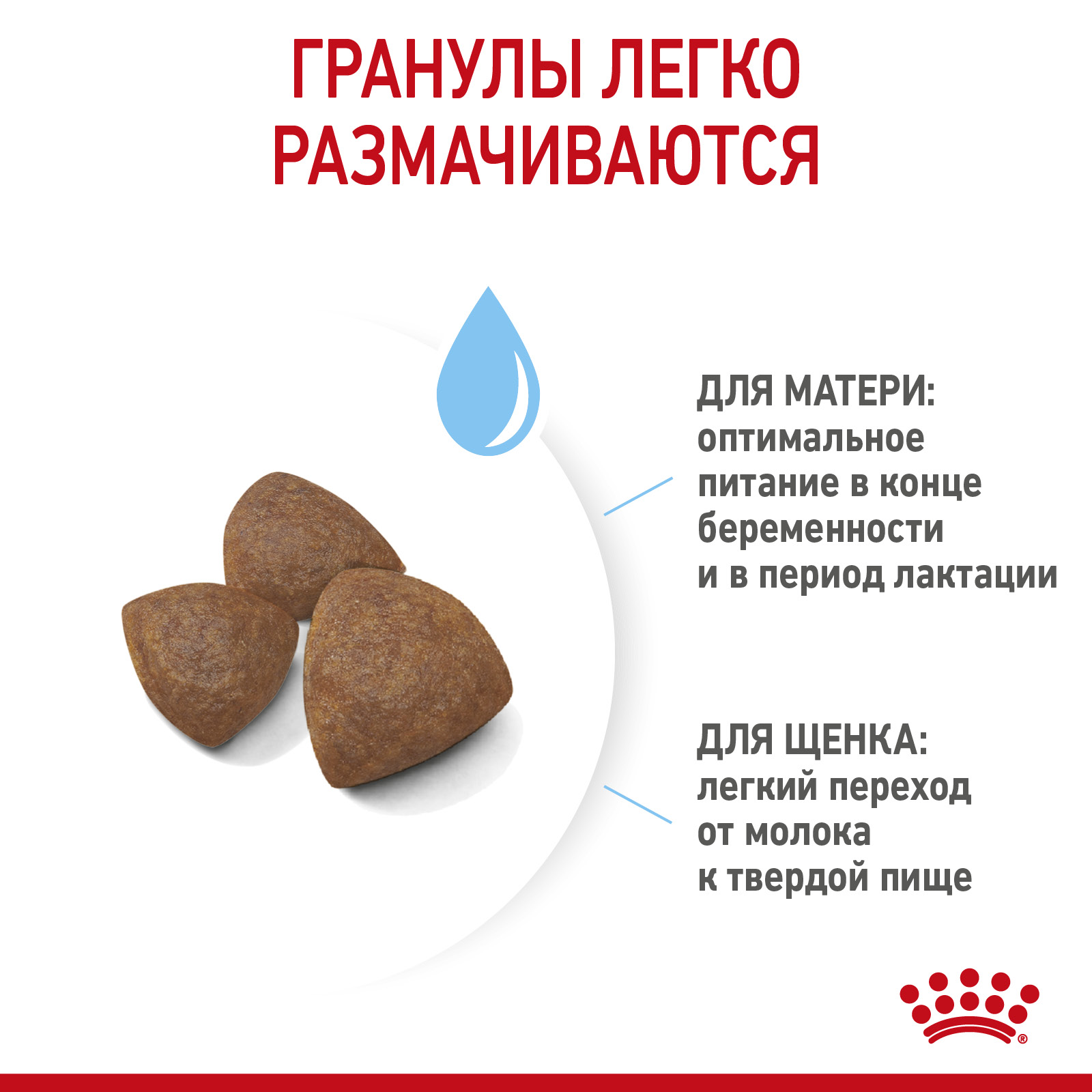 Сухой корм для собак ROYAL CANIN 4 кг (для беременных и кормящих, полнорационный) - фото 4