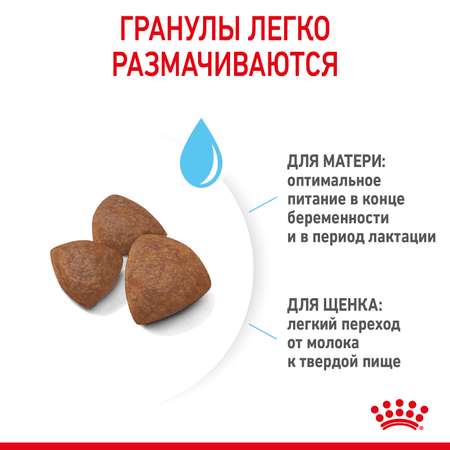 Корм для щенков беременных и кормящих Royal Canin 4кг Medium Starter средних сухой