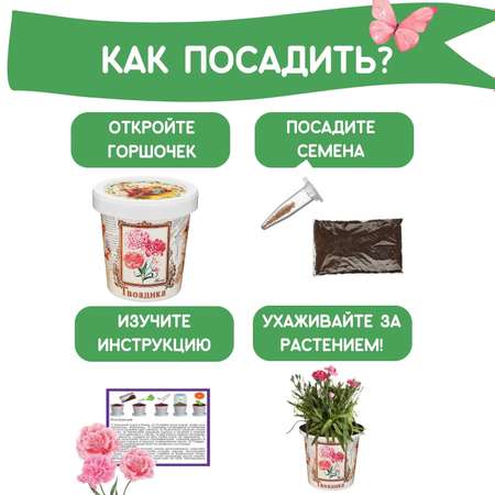 Набор для выращивания растений Rostok Visa Вырасти сам цветок Гвоздика в подарочном горшке