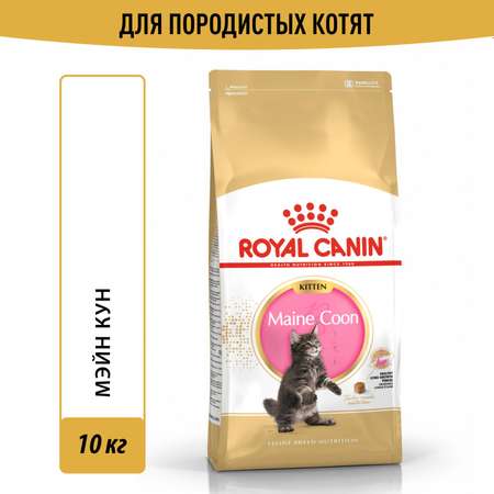 Корм сухой для котят ROYAL CANIN Maine Coon 10кг породы мейн-кун