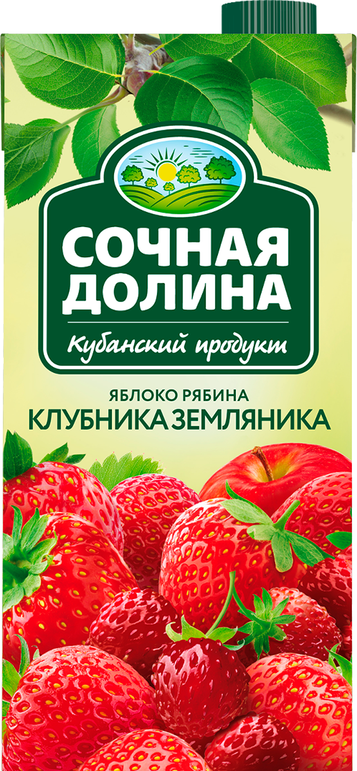 Сокосодержащий напиток Сочная Долина Яблоко Клубника Земляника 0.95 л х 6  шт купить по цене 810 ₽ в интернет-магазине Детский мир