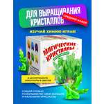 Набор для опытов ВИСМА вырасти сам Магические кристаллы средний набор
