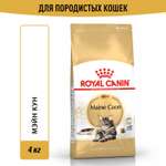 Корм сухой для кошек ROYAL CANIN Maine Coon 4кг породы мейн-кун
