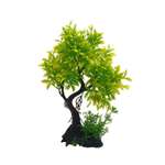 Аквариумное растение Rabizy Дерево 19х8х26 см