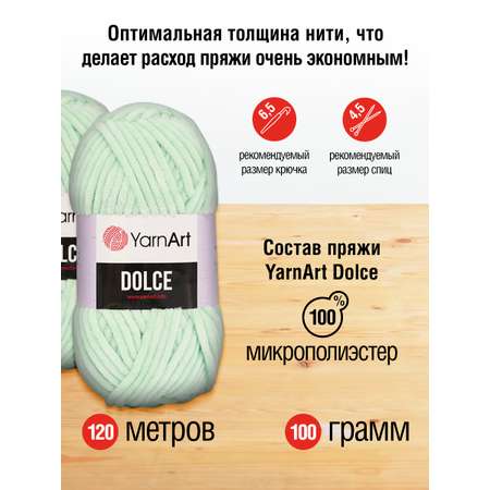 Пряжа для вязания YarnArt Dolce 100 гр 120 м микрополиэстер пушистая плюшевая 5 мотков 753 мятный