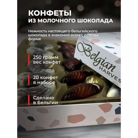 Шоколадные конфеты Belgian Harvest ракушки 250г