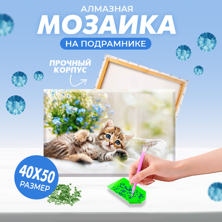 Алмазная мозаика Solmax Котенок на подрамнике 40х50см