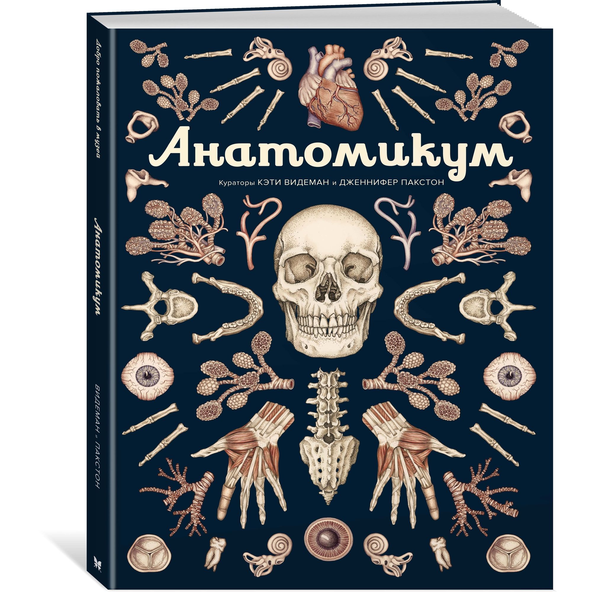 Книга МАХАОН Анатомикум. Энциклопедии купить по цене 1382 ₽ в  интернет-магазине Детский мир