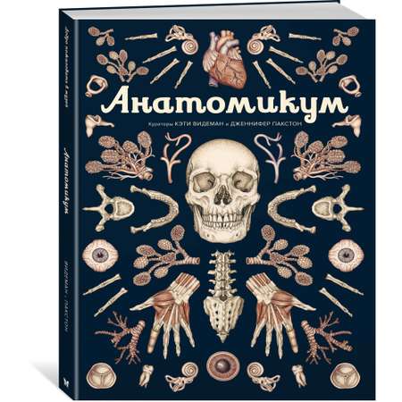 Книга МАХАОН Анатомикум. Энциклопедии