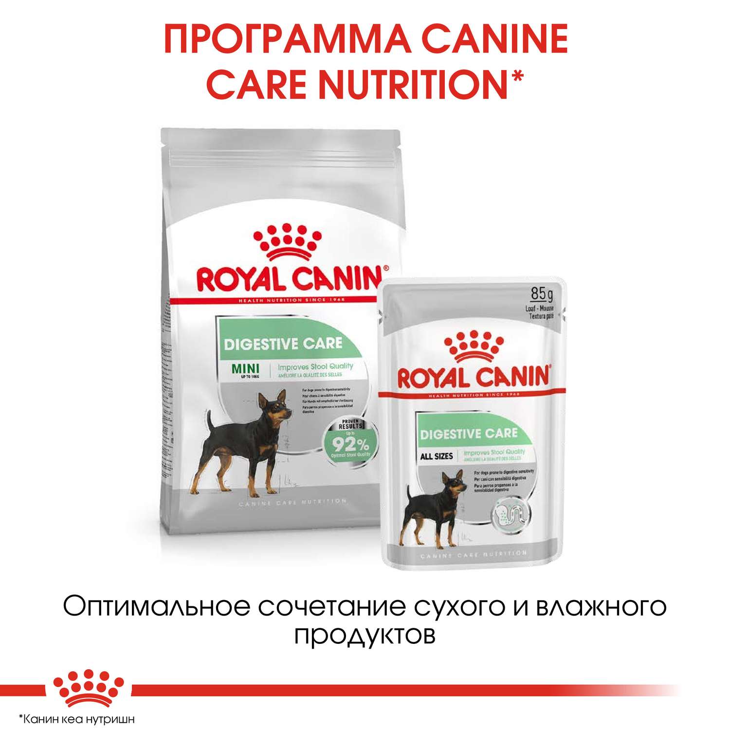 Корм для собак ROYAL CANIN Digestive Care с чувствительным пищеварением пауч 85г - фото 5