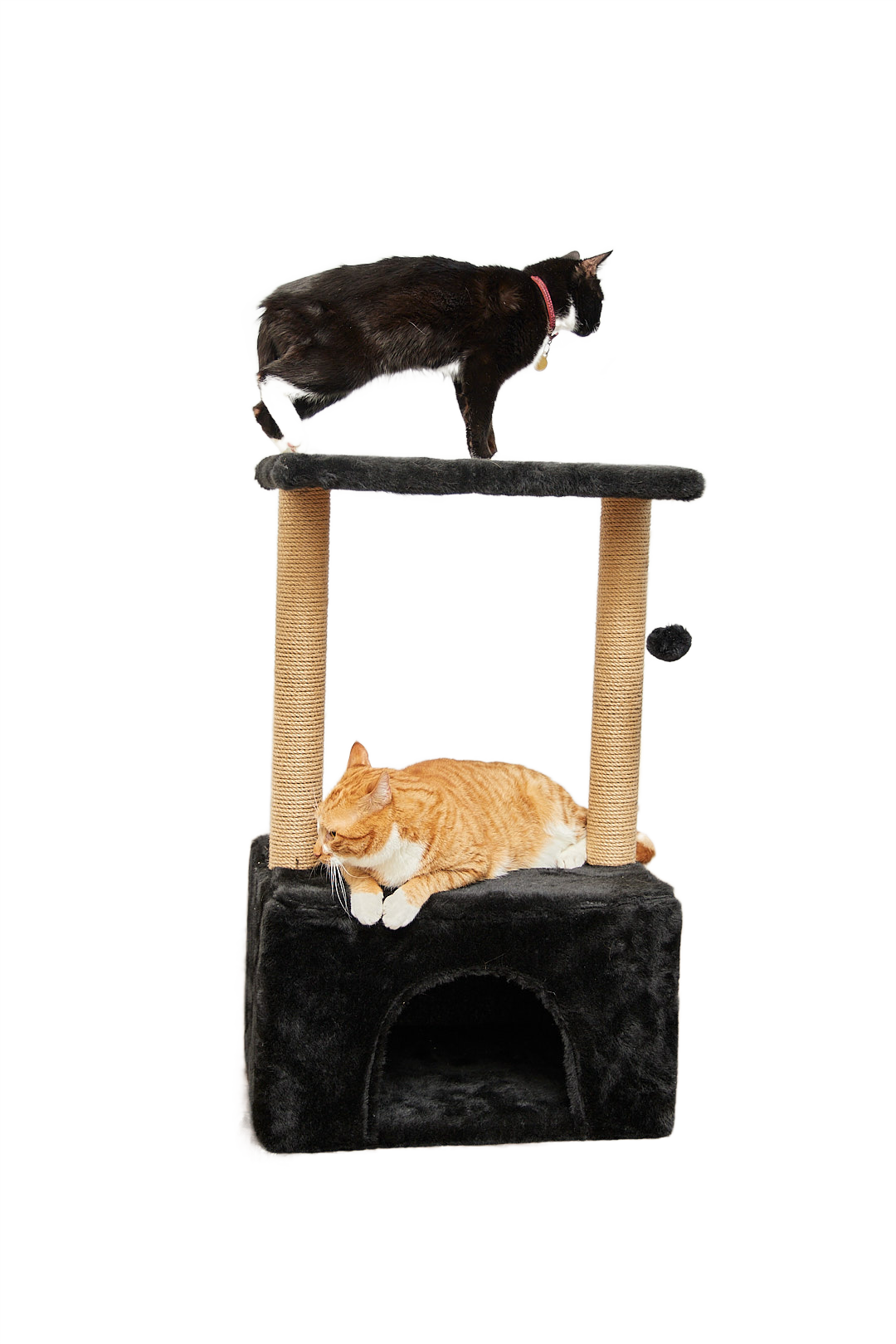 Когтеточка для кошек с домиком БРИСИ Черный - фото 10