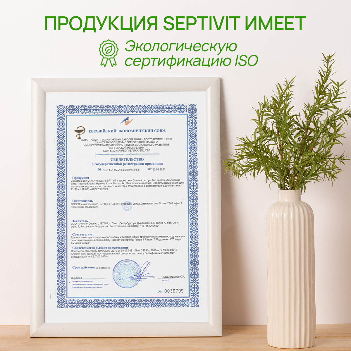 Средство для мытья посуды SEPTIVIT Premium Альпийская мята 5л - фото 9