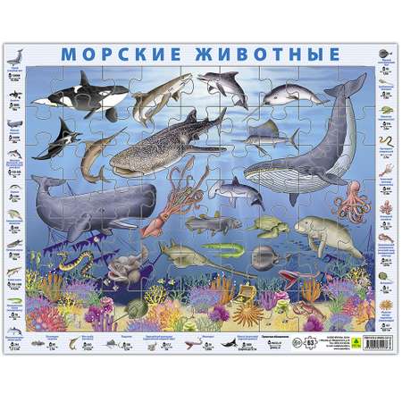 Пазл РУЗ Ко Детский на подложке. Морские животные. 36х28 см 63 элемента. Плюс наклейки