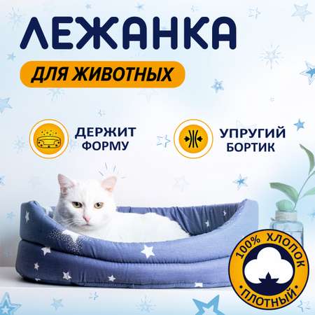 Лежанки для кошек: виды и дизайн | PROpets | Дзен