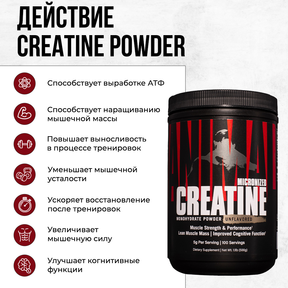 Креатин Animal Creatine Powder 500 г - фото 2