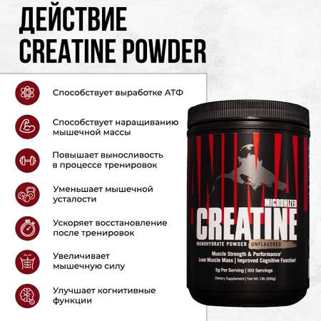 Креатин Animal Creatine Powder 500 г