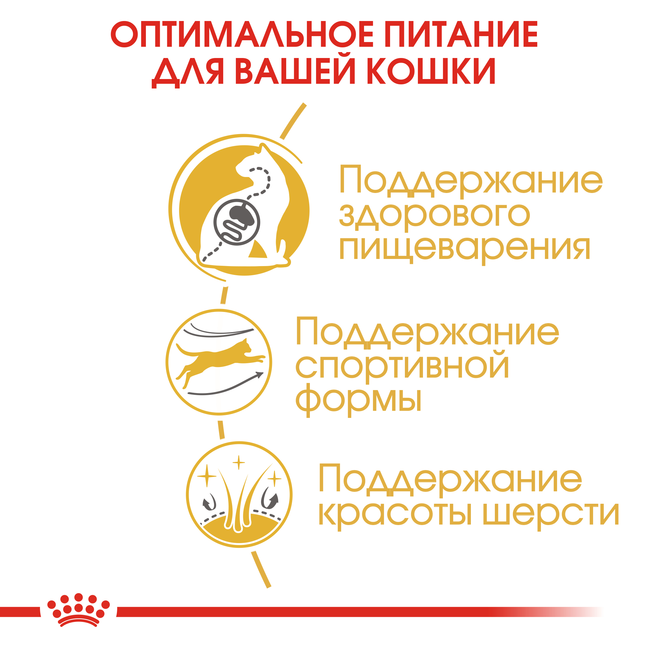 Сухой корм для кошек ROYAL CANIN 0.4 кг (полнорационный) - фото 4