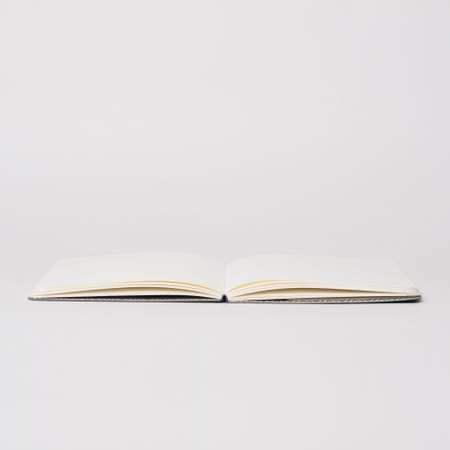 Блокнот в точку Falafel books формата А5 в твёрдой обложке Moscow snow