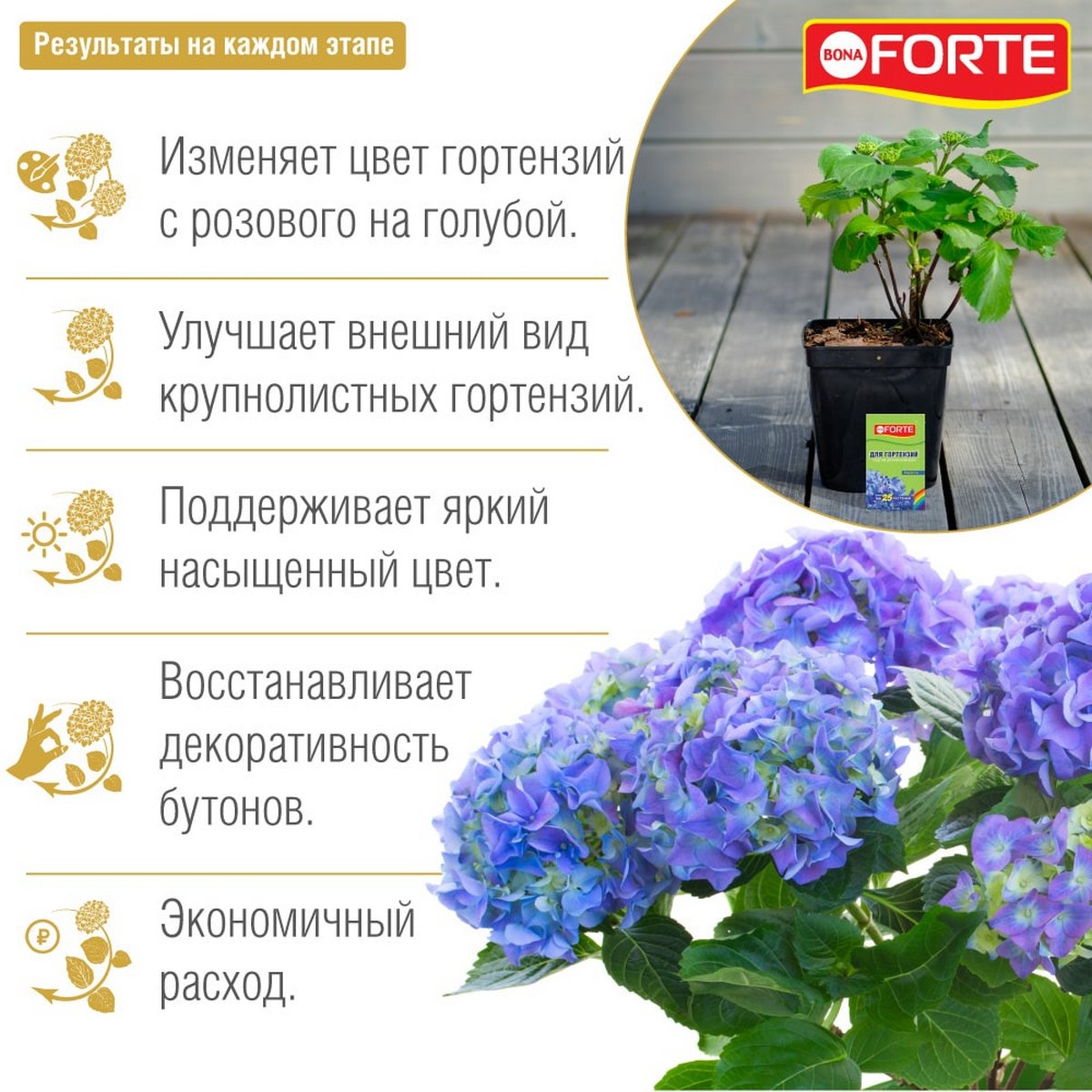 Средство Bona Forte Радуга для изменения цвета гортензий сухое 100 г - фото 4