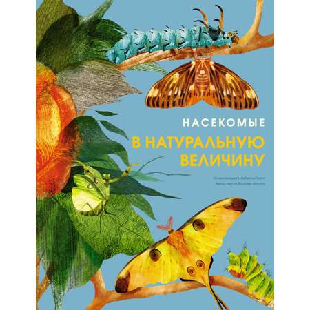 Книга Махаон Насекомые в натуральную величину