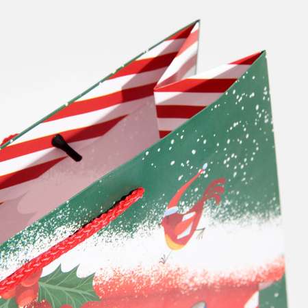 Пакет Sima-Land ламинированный вертикальный «Новогодняя почта». L 28×38×9 см