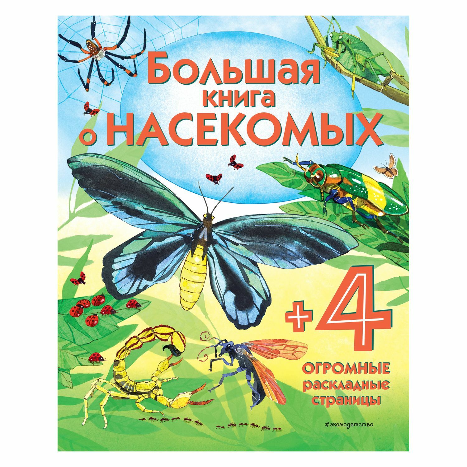 Энциклопедия Эксмо Большая книга о насекомых купить по цене 294 ₽ в  интернет-магазине Детский мир