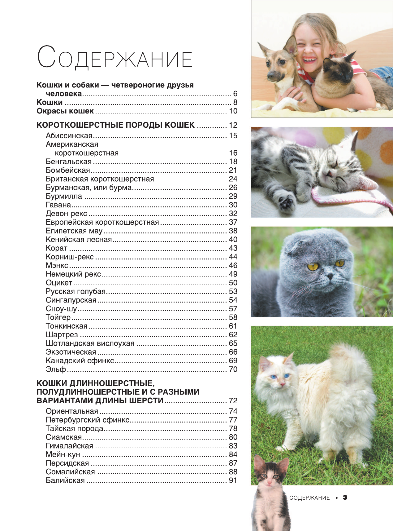 Книга АСТ Большая книга о кошках и собаках 1001 фотография - фото 7