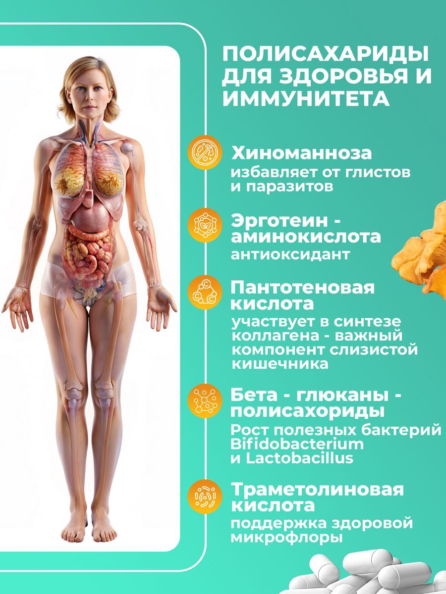 Грибная аптека Bionormula Лисички в капсулах от паразитов Bionormula антипаразитарный комплекс 60 капсул - фото 8