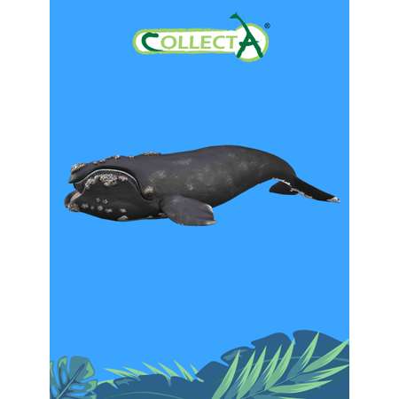 Фигурка животного Collecta Южный кит