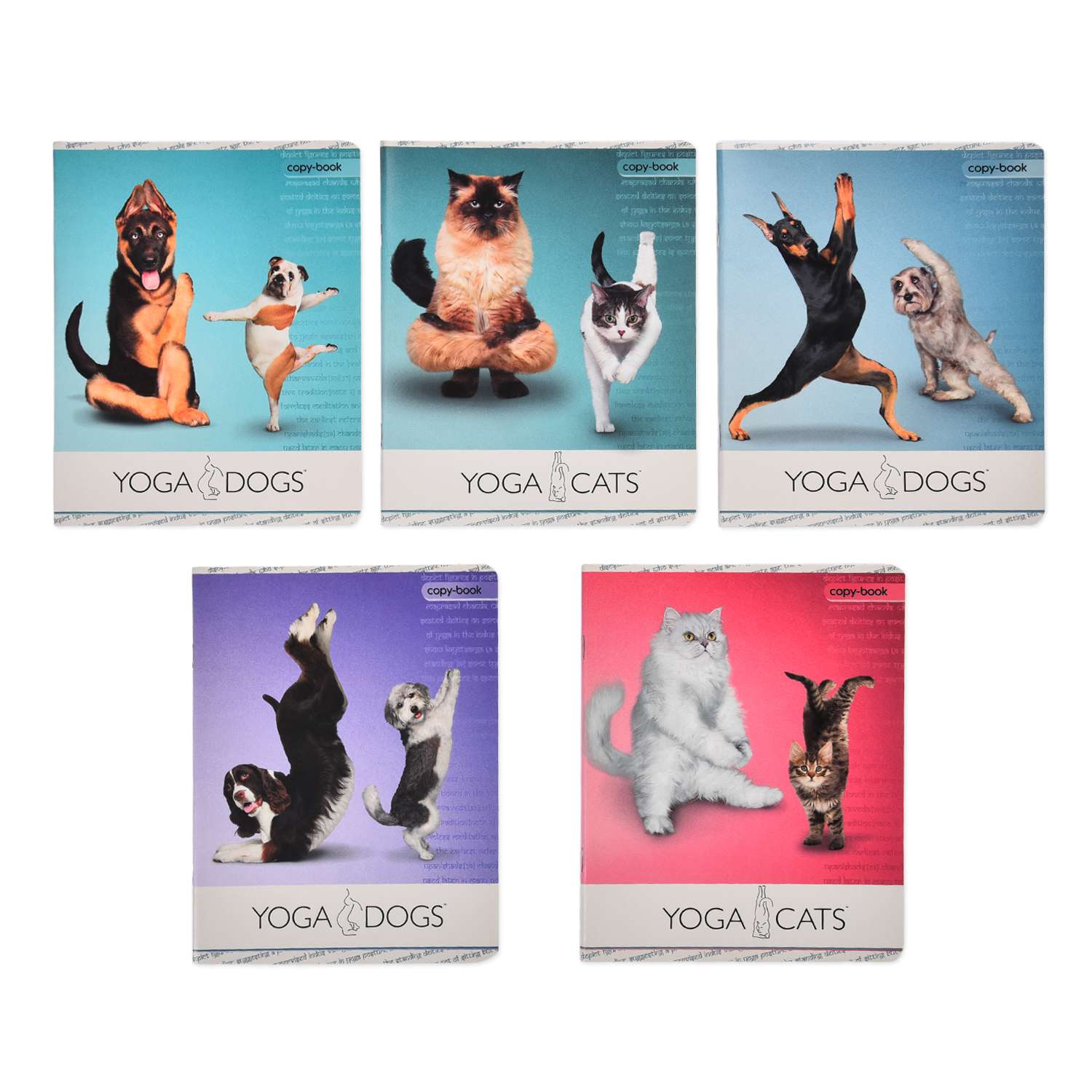 Тетрадь Полиграф Принт Yoga Dogs А5 Клетка 40л YD43/5 в ассортименте - фото 1
