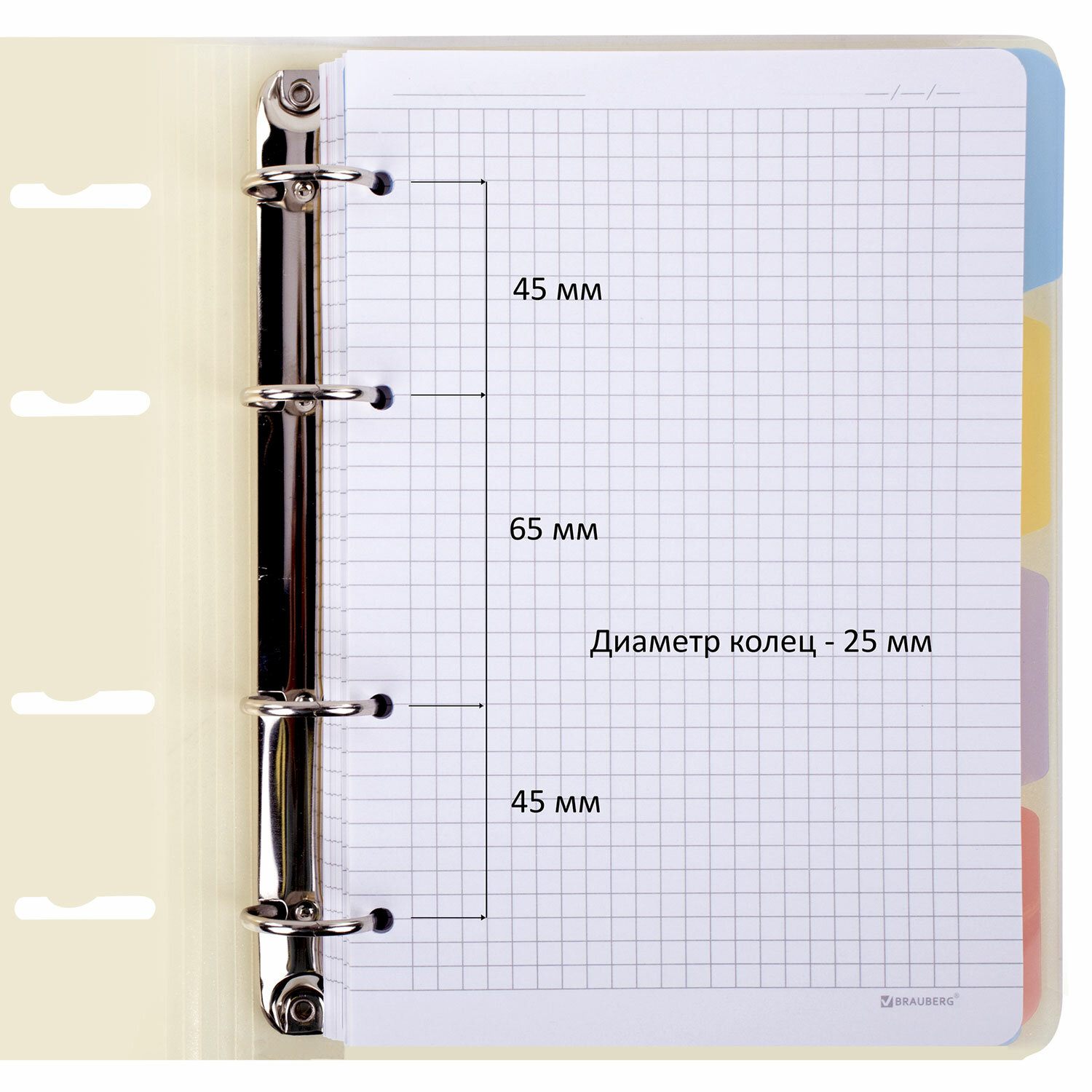 Тетрадь на кольцах Brauberg А5 со сменным блоком 120 листов с резинкой и разделителями - фото 4