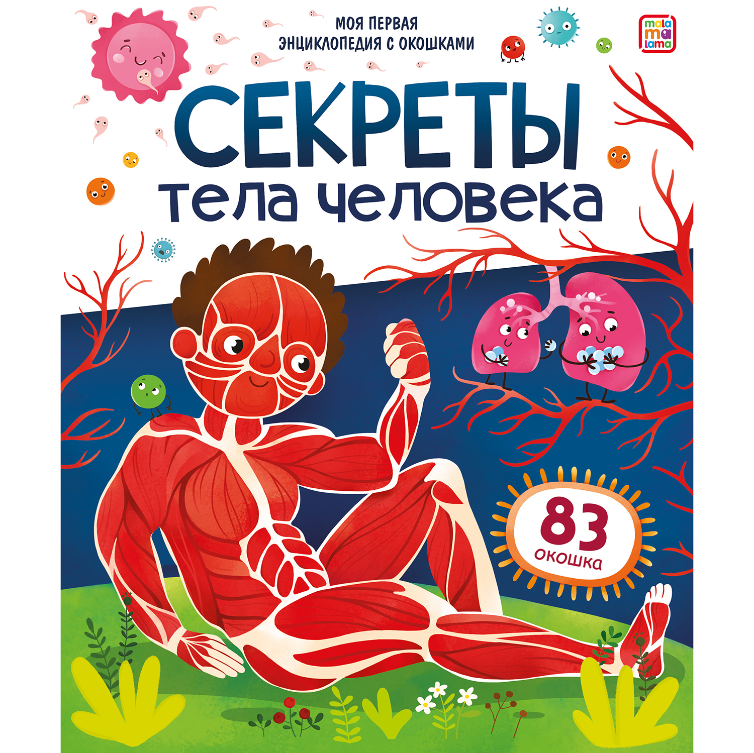 Книга Моя первая энциклопедия с окошками Секреты тела человека - фото 1