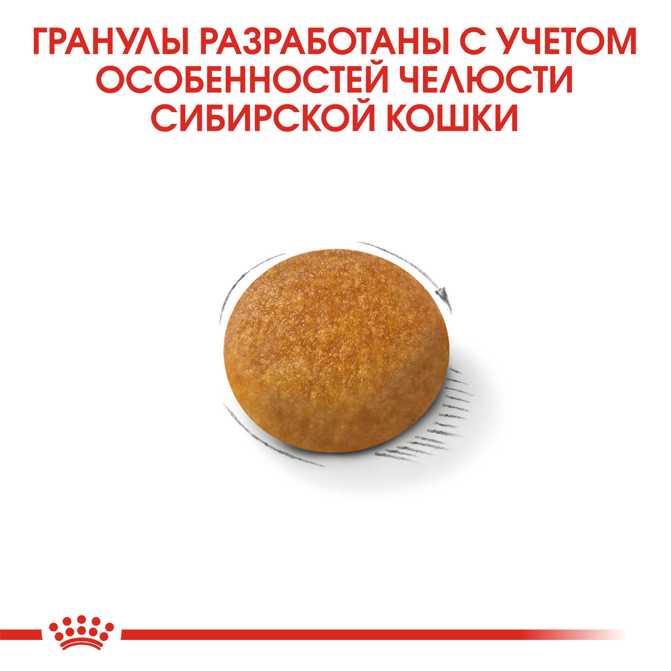 Сухой корм для кошек ROYAL CANIN 0.4 кг (полнорационный) - фото 5